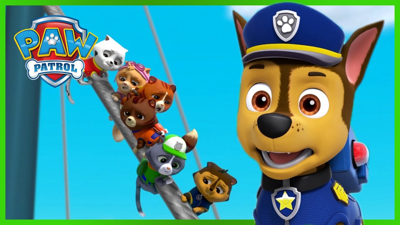 Кутретата от спасителния отряд спасяват кралските котки - PAW Patrol Bulgarian - карикатури за деца