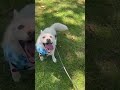 Parker video