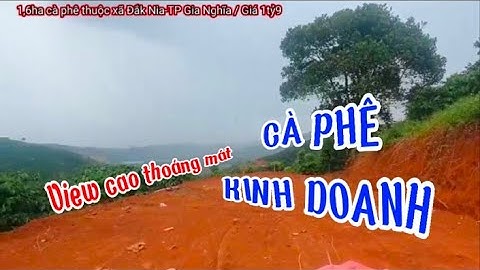 1,6ha đất TP Gia Nghĩa, phủ kín cà phê đang kinh doanh. Đất đẹp, view thoáng mát I Tài Nguyên Đất
