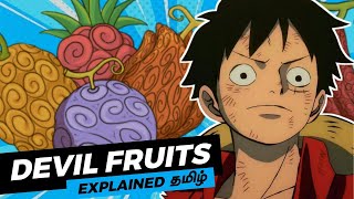 Types of Devil Fruits in One Piece Explained - தமிழ்