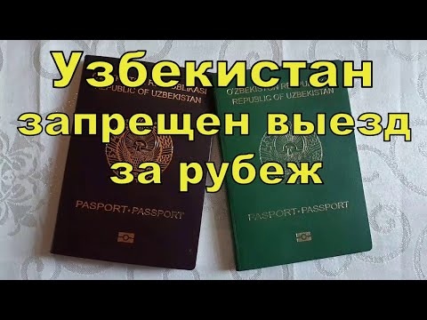 Video: Pse MTS Shkëputi Rrjetin Në Uzbekistan?