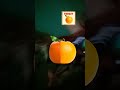 Orange stop challenge💪