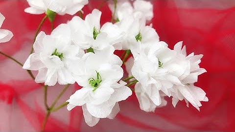 ABC TV | How To Make Tissue Paper Flower - Craft Tutorial