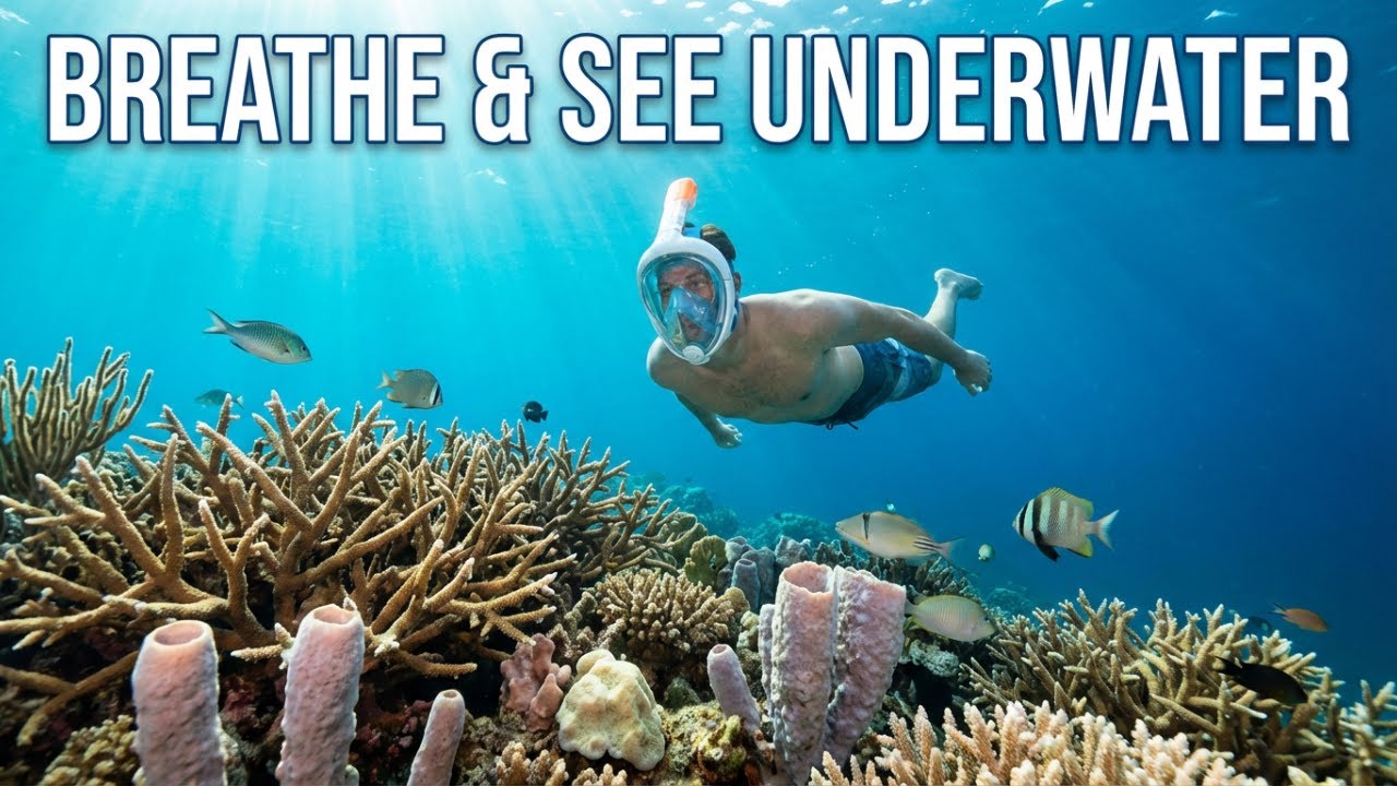 Full Face Snorkel Mask – Best Panoramic Anti-Fog Mask