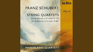 Famous String Quartet in G Minor, D. 173: IV. Allegro Wealth