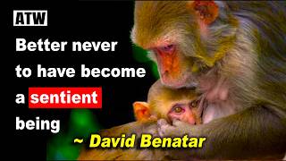 Why is becoming a sentient being a bad deal? | Antinatalism | David Benatar