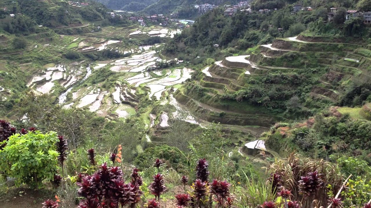 バナウェ Banaue の棚田 ライステラス ビューポイント フィリピン