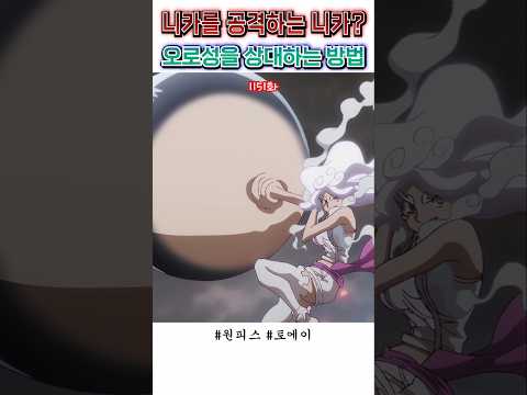 🔥 니카를 공격하는 니카?! 🔥 원피스 최신화