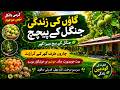 My Village Home in Jungle 🌿 | Beautiful Nature, Fruits & Peaceful Life Vlog