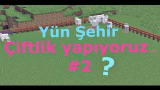 Yün Şehir/Bölüm 2/Çiftlik Yapıyoruz screenshot 2