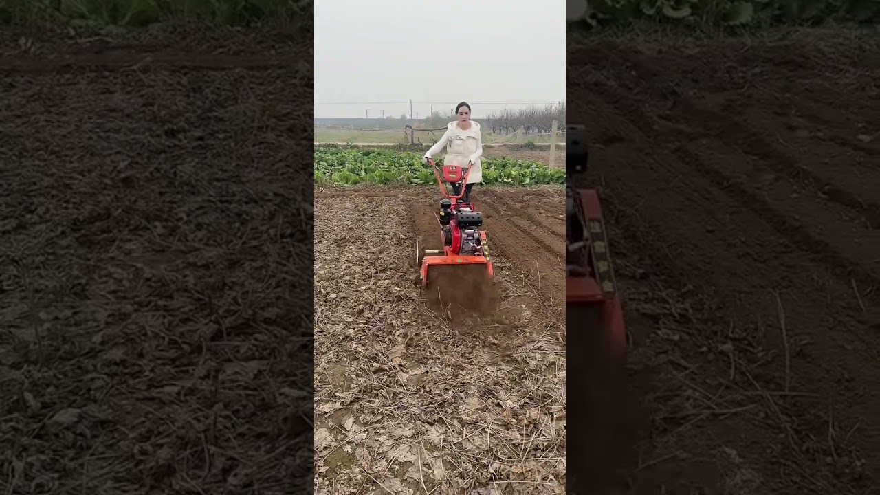 Agricultural Machinery Agriculture LiveShot Multi-functional Machine Saving TimeEffectsLaborSaving