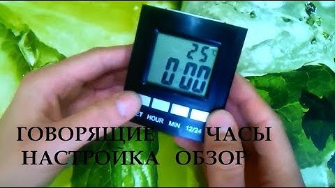 Говорящие часы Настройка Обзор