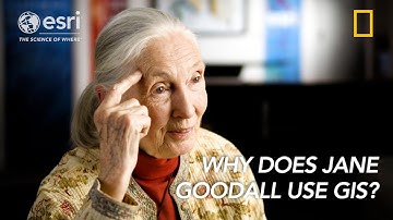 Jane Goodall and GIS  Harnessing the Power of Geospatial Technology