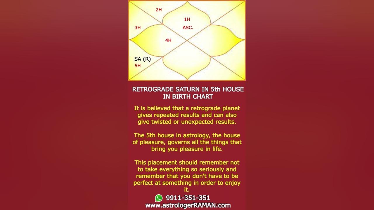 Retrograde Saturn in 5th House in Birth Chart I One Minute Astrology I
