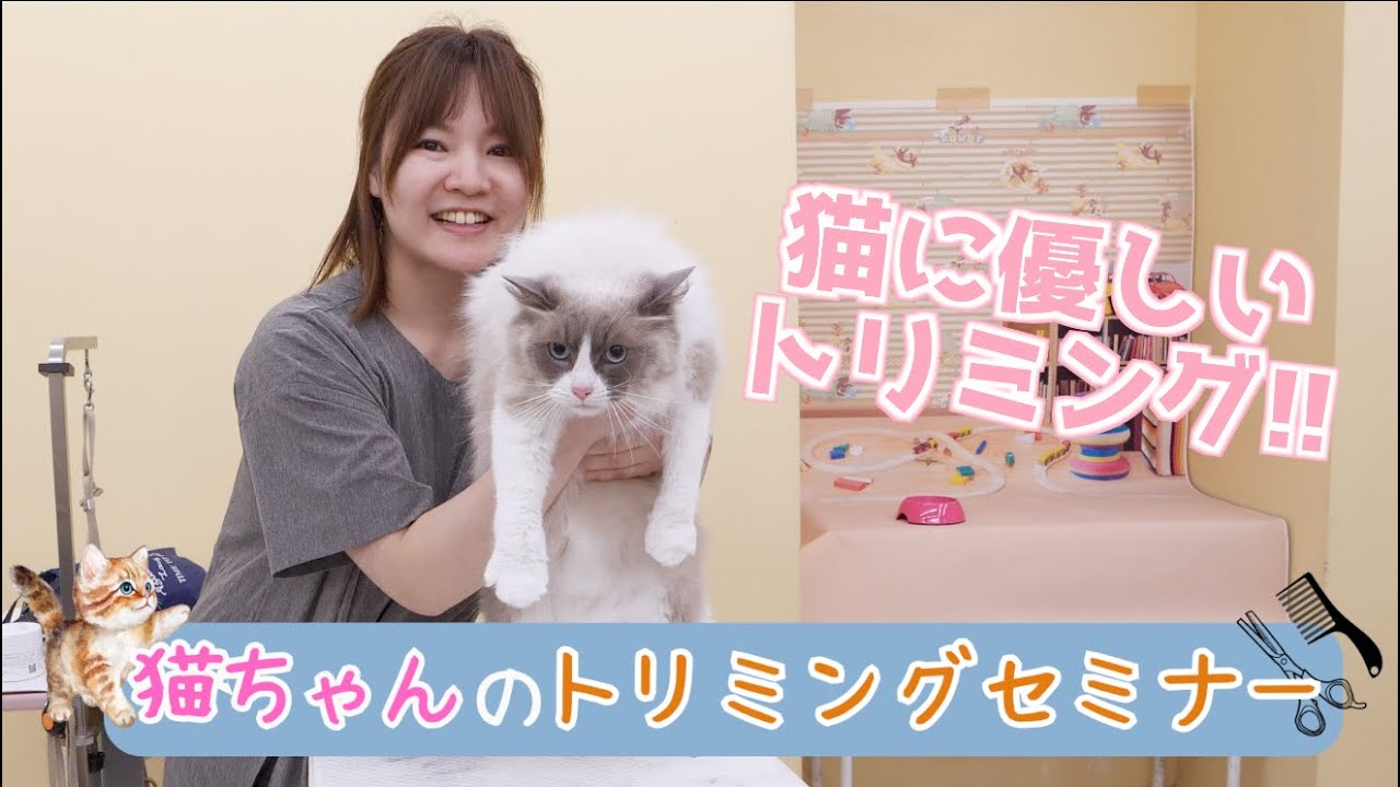【トリミング講座】猫に優しいトリミング方法!!/猫専門サロン