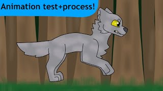 Wolf run cycle/animation test + process
