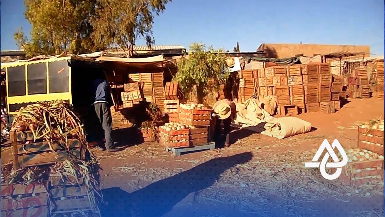 إغلاق سوق الخضر والفواكه بالجملة بعين تاوجطات