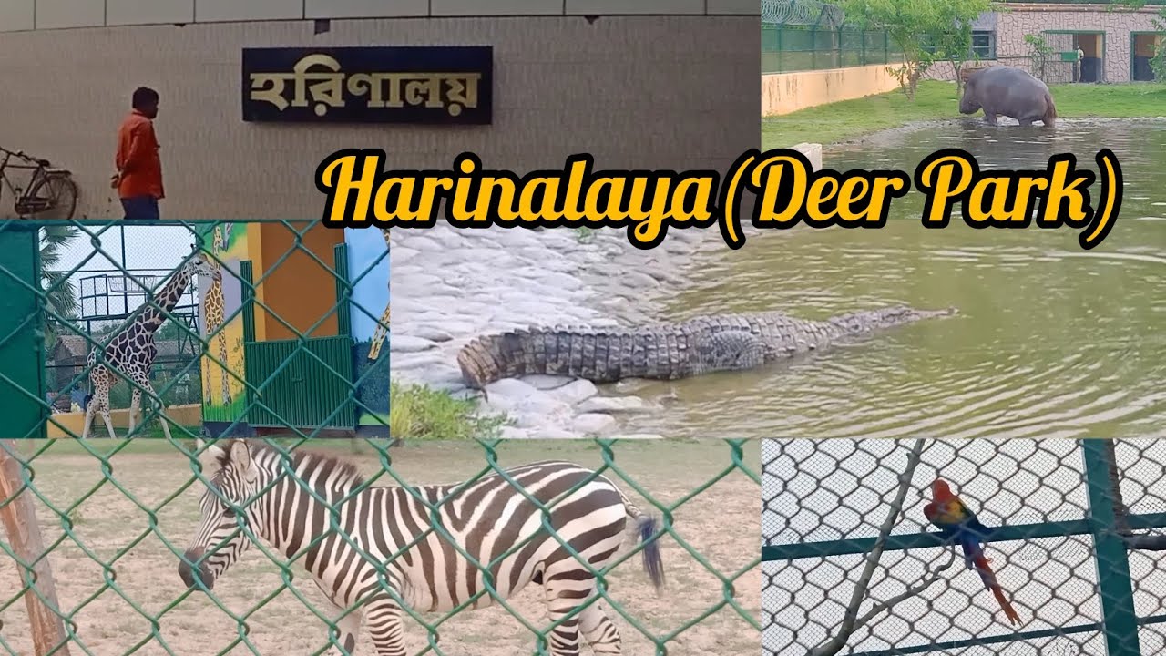 Harinalaya Deer Park New Town Harinalaya Eco Park Harinalaya Deer