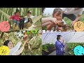 とちぎの農村めぐり(四季編ショートver)