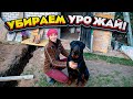 Дела огородные и Новая стройка! НИКТО ТАКОГО НЕ ОЖИДАЛ!!! | Молодая Ферма