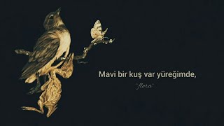 Charles Bukowski - Bluebird (Türkçe Çeviri)