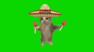 Spanish Happy Happy Happy Cat [Green Screen]