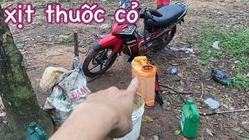 XỊT THUỐC CỎ