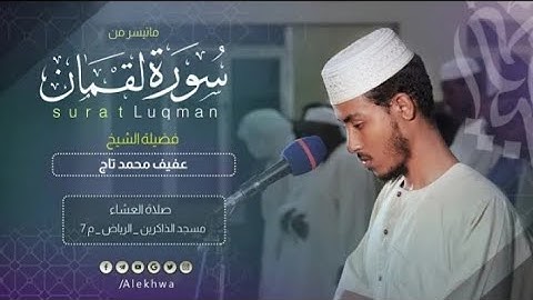 الشيخ عفيف محمد تاج سورة لقمان || Sheikh Afif Mohammed Taj ) Surah Luqman (