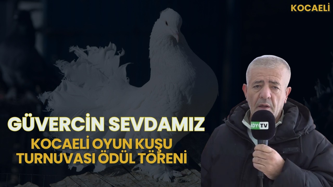 KOCAELİ OYUN KUŞU TURNUVASI ÖDÜL TÖRENİ I GÜVERCİN SEVDAMIZ