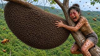 Traditional Honey Hunting  Attacked By Two Beehives In The Worlds Most Dangerous Job