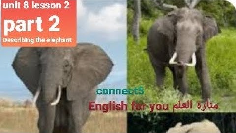 English for grade five| connect5 unit 8 lesson 2 part 2 |Describing the elephant |