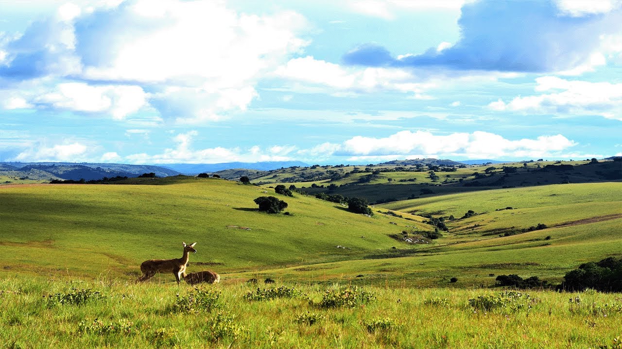 Nyika National Park - An Amazing Tourist Destination in Malawi