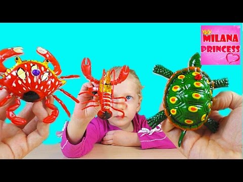 Игрушки Морские обитатели Черепаха, краб и рак / Toys Marine life turtle, crab, and cancer