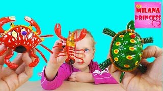Игрушки Морские обитатели Черепаха, краб и рак / Toys Marine life turtle, crab, and cancer Игрушки Морские обитатели Черепаха, краб и рак / Toys Marine life turtle, crab, and cancer