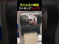 笑える音の瞬間 トップ5