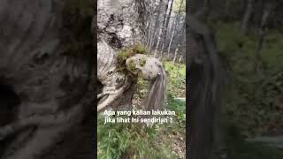 Download Lagu mengerikan #shortvideo #trendingshorts #misteri #holor #angkerbanget MP3 Download Lagu mengerikan #shortvideo #trendingshorts #misteri #holor #angkerbanget MP3