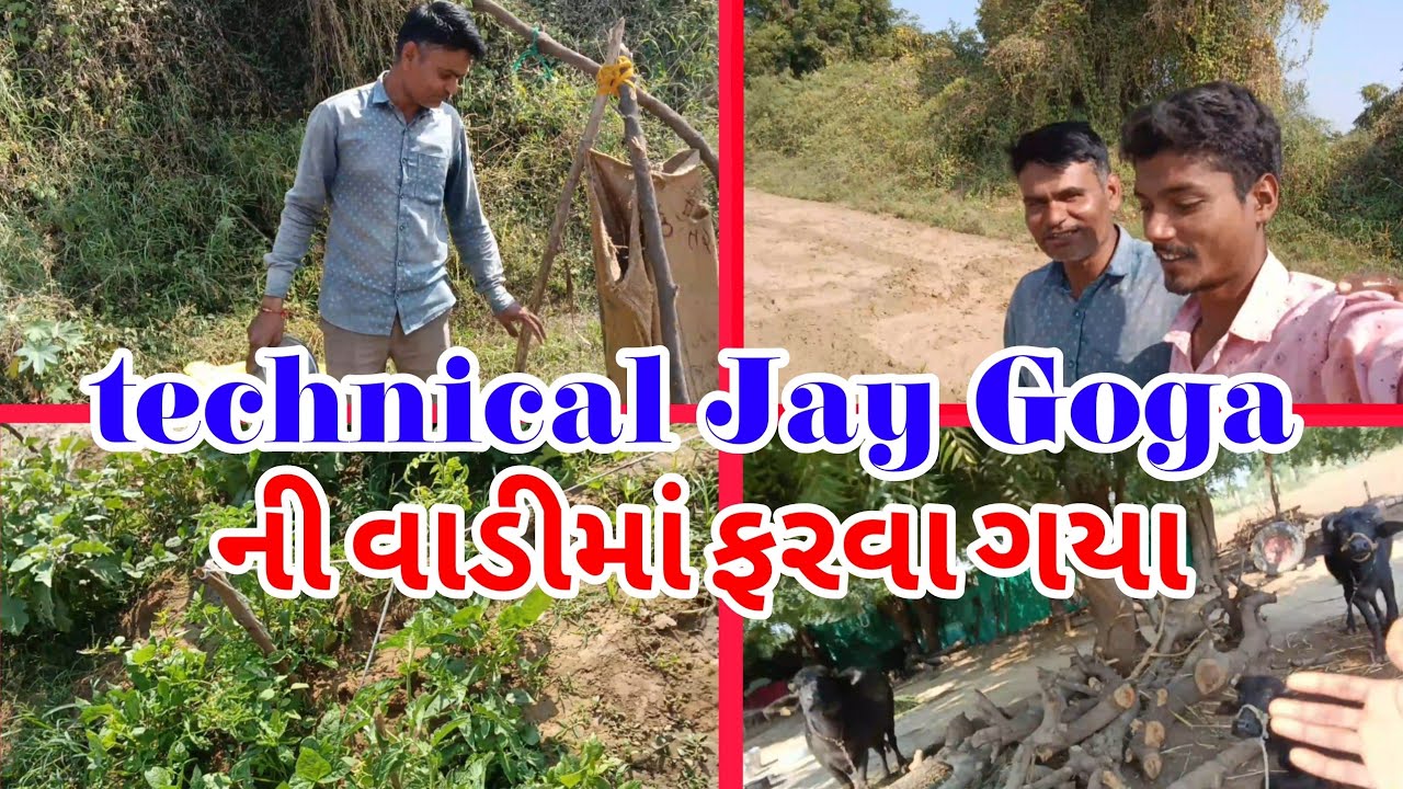 Technical Jay Goga ની વાડીમાં ફરવા ગયા Gujarati Vlog  Daily Life with Vlog Ma Sikotar Vlogs