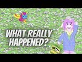 Webkinz Theory: The Disappearance of Debbie Dragon