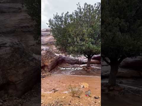 اتمنى ان ندرك مبكرا ان هدوء البال وسلامه القلب من اعظم النعم - القاء احمد الفضول