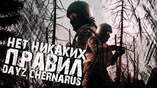 НЕТ НИКАКИХ ПРАВИЛ - DAYZ CHERNARUS