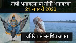 Mauni Amavasya 2023 : मौनी अमावस्या शनिदेव से संबंधित उपाय जो आपका भाग्य संवार देंगे