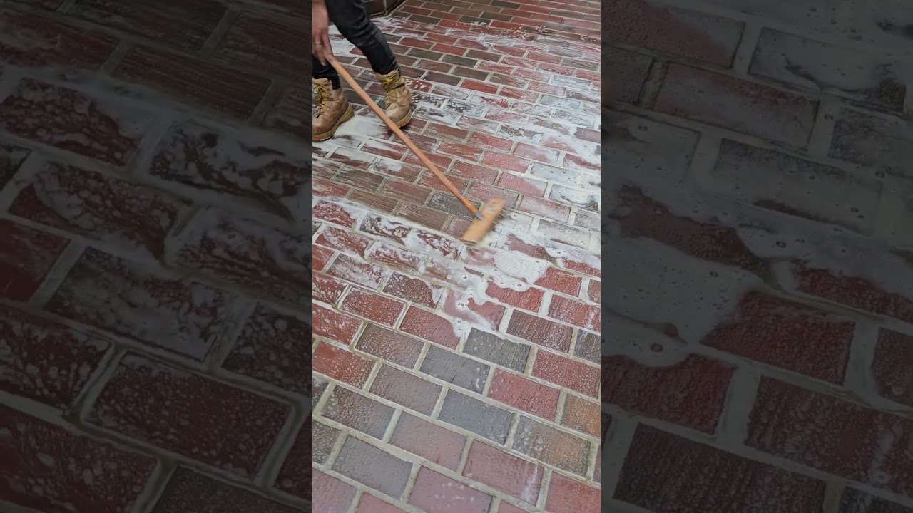 Scrub the brick pavors with 600 Sureklean acid detergent 