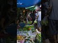 This train runs through a market in Thailand 😳 #Thailand #shorts