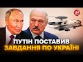 🤯ВИПЛИВЛО! БІЛОРУСЬ підіймала в небо ЛІТАК-РОЗВІДНИК. Путін віддав ЕКСТРЕНИЙ наказ по "СВО". ТИМОЧКО