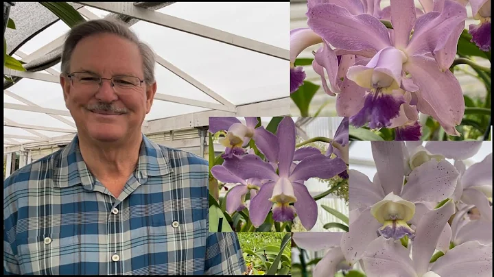 Tour Sunset Valley Orchids | Brief Chat with Fred ...