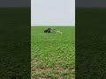 الخريف في البطانه 