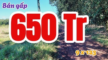 Đất Dầu Tiếng | Lô này ngộp lắm rồi anh em 9x123 giá rẻ #572