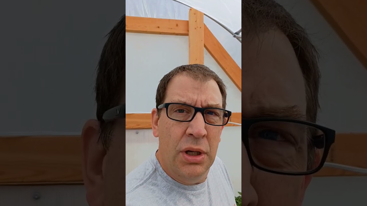 Micro Graft Update Sneek Peek