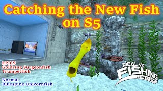 Catching the New Fish on S5