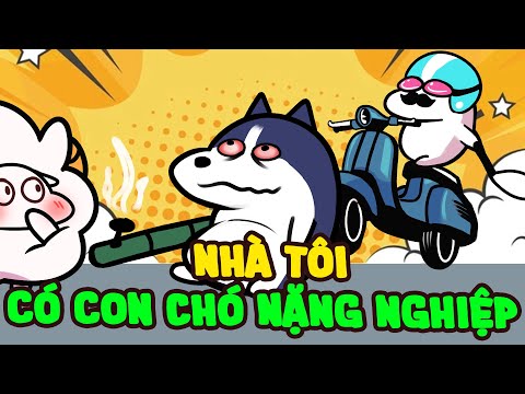 Nhà Tôi Có Con Chó Nặng Nghiệp | Hôn Nhân Có Gì Vui #4